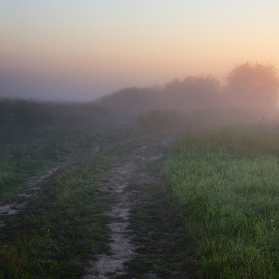 It’s Time to Go on Pilgrimage When…