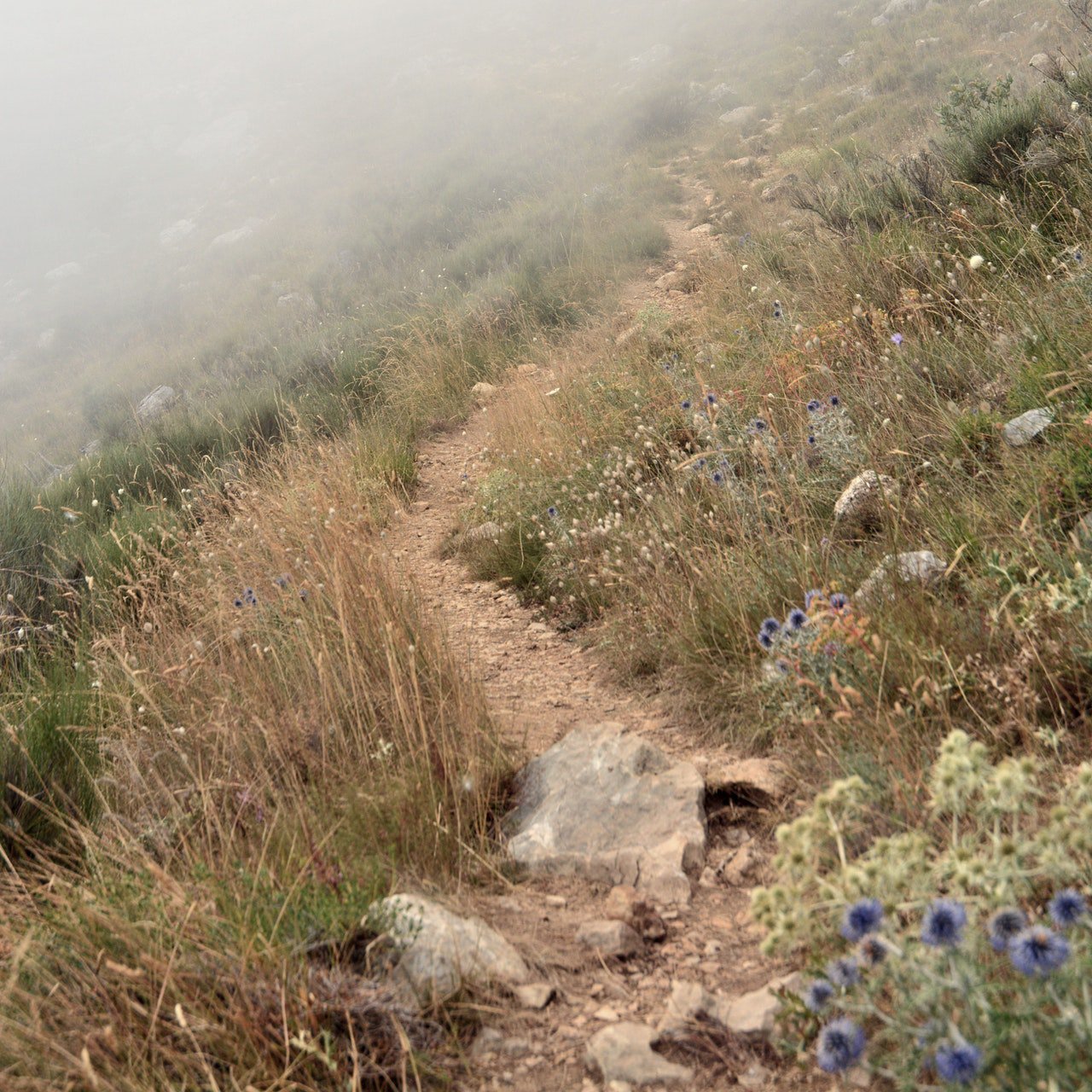 6 Tools for Staying Present to the Journey at Hand